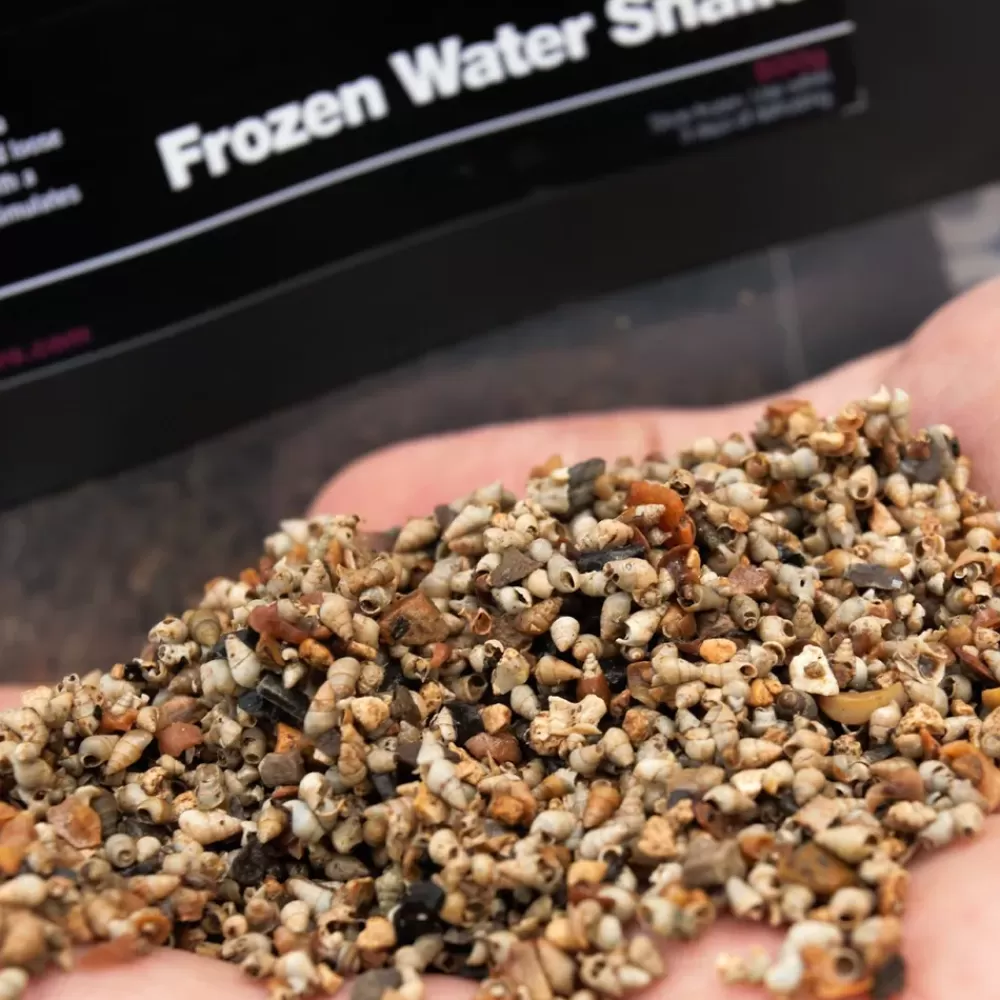 CC Moore Frozen Water Snails