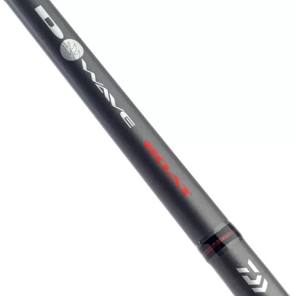 Daiwa D Wave Boat Fishing Rod