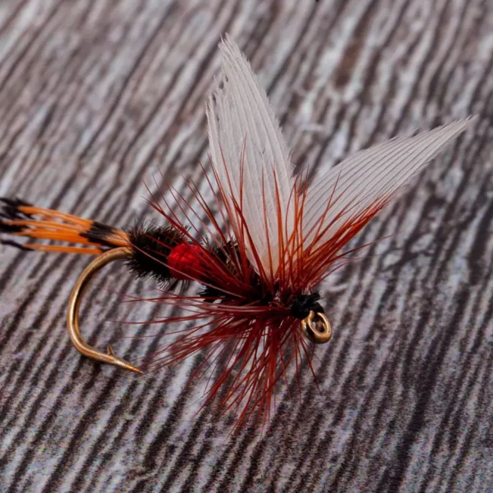 Dragon Fly Dragon Dry Fly 1