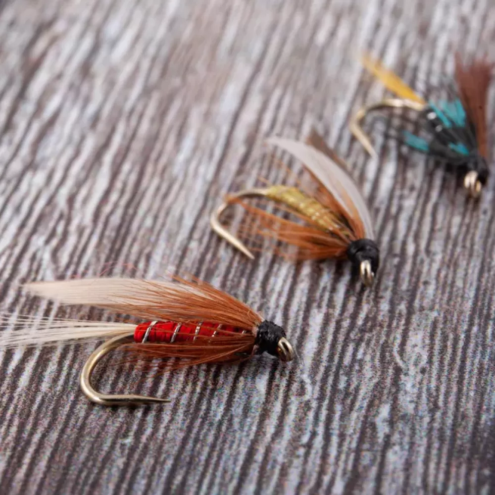 Dragon Fly Dragon Wet Fly 1