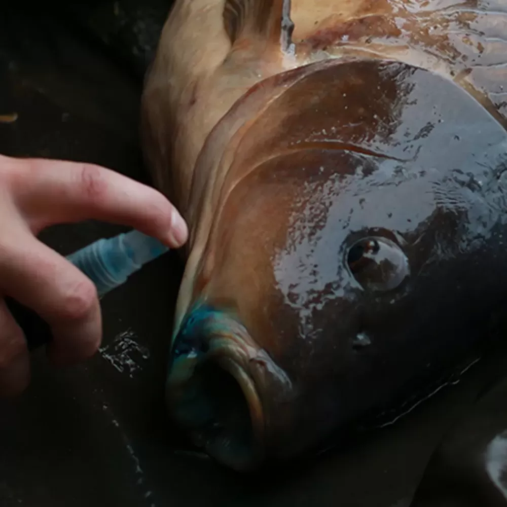Gardner Intensive Care Upacked (Box Refill)- Fish Care