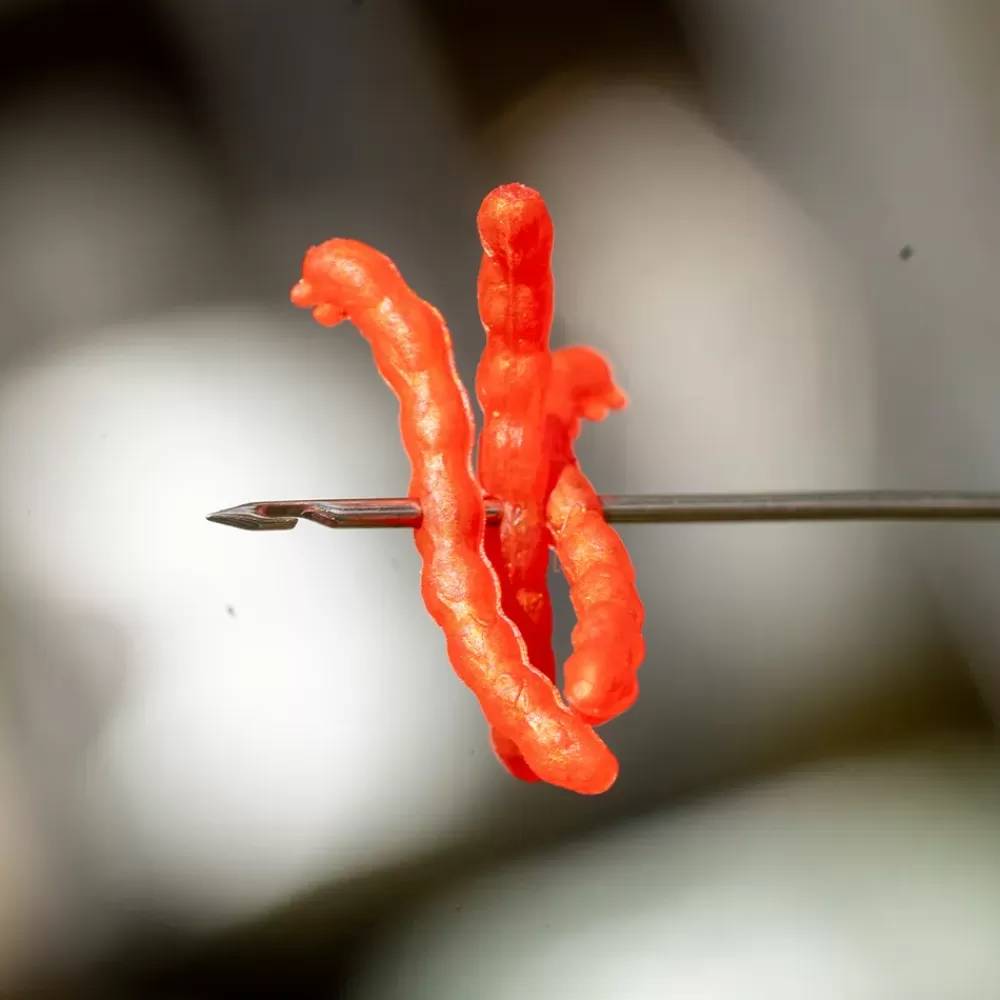 One More Cast OMC Revibed Bloodliner Tippers- Terminal Tackle