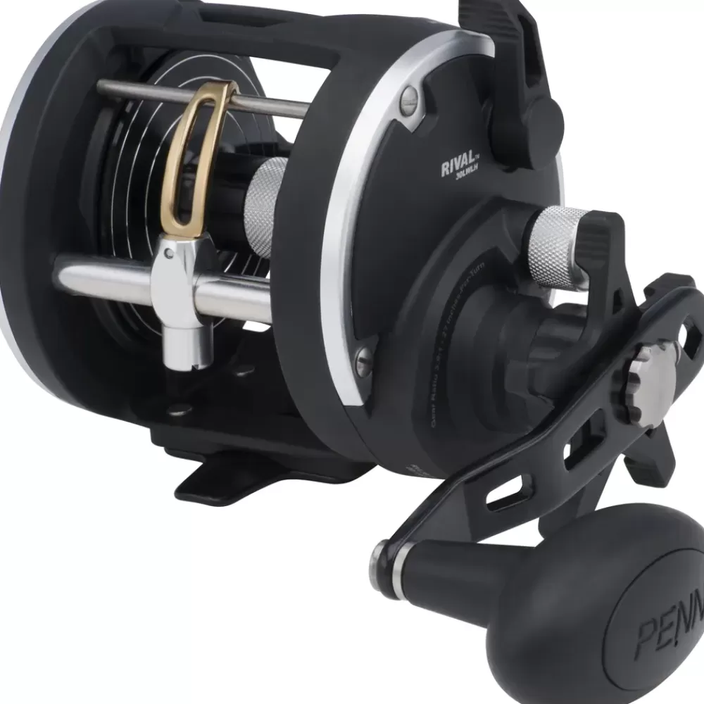 Penn Rival Level Wind Reel