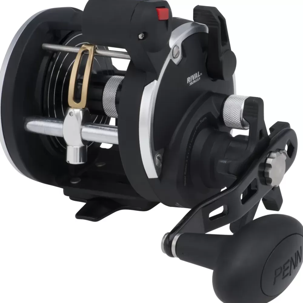 Penn Rival Level Wind Reel