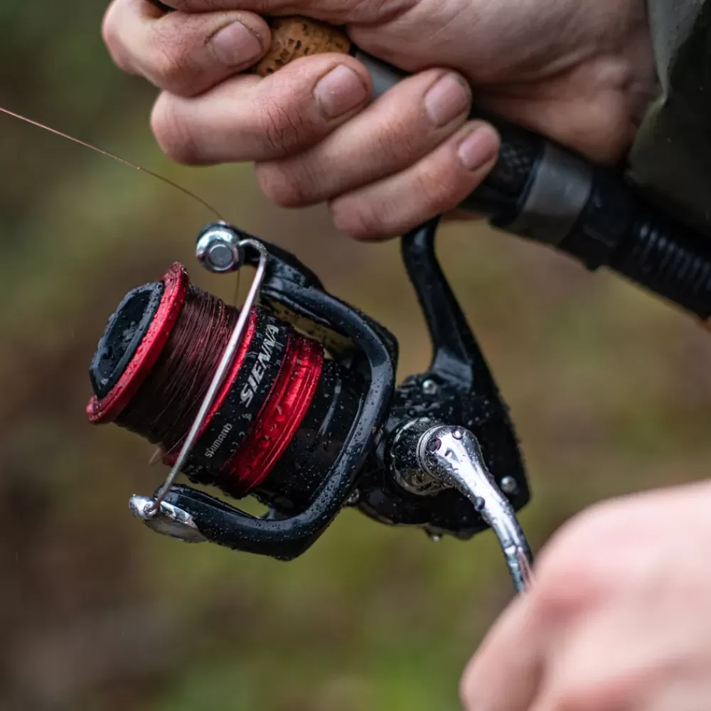 Shimano Sienna FG Fishing Reel